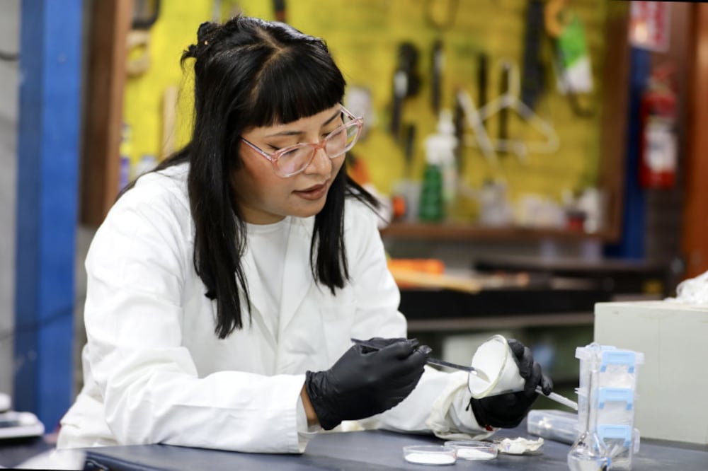 De un residuo cotidiano a una posible solución para la medicina regenerativa | Foto: UAEH