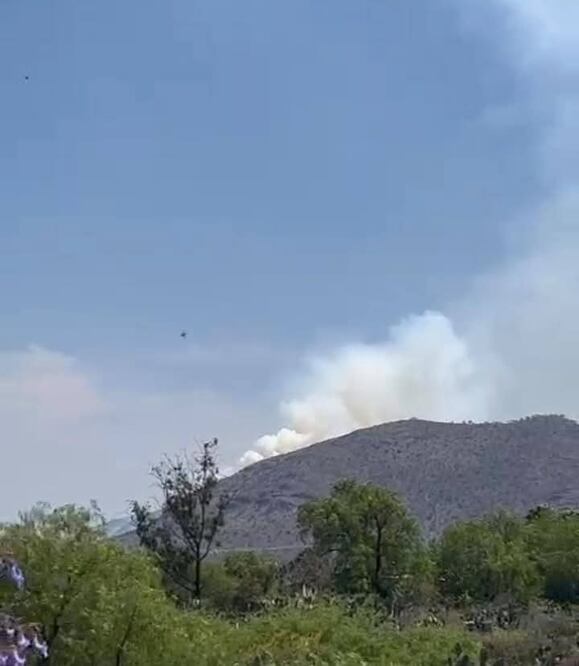 Redes sociales galería Amajac