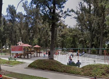 Cortarán más arboles del parque Pasteur de Pachuca por plagas