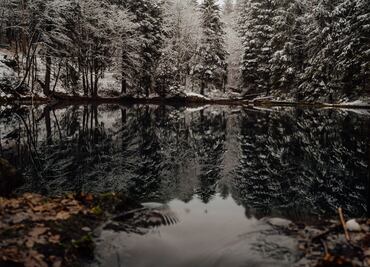 ¿En qué estados caerá nieve en esta semana?
