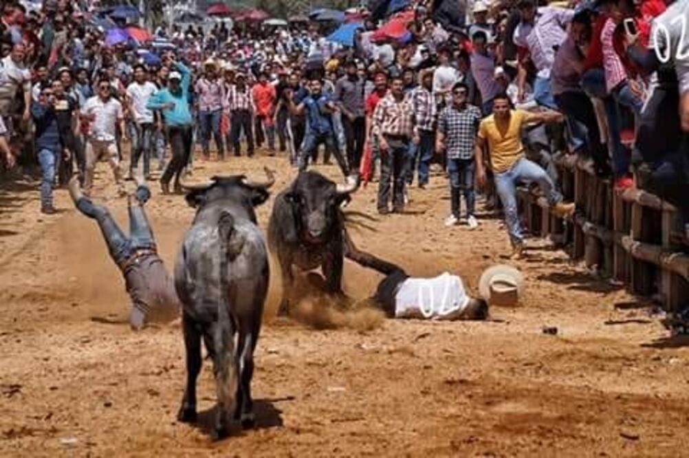 Esta tradición donde sueltan por la calle toros de lidia, surgió en Hidalgo en el siglo XIX, con la instalación de la fábrica Santiago Textil, dado que sus dueños eran españoles I Foto: Grisel Lira