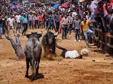 ¿Qué es la Cucaña y la Santiagada? Tradiciones que se realizan en Santiago Tulantepec en Hidalgo