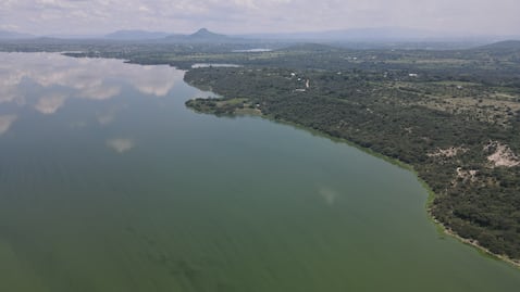 Intensifican labores de control del lirio acuático en la presa Endhó; 98% libre de maleza