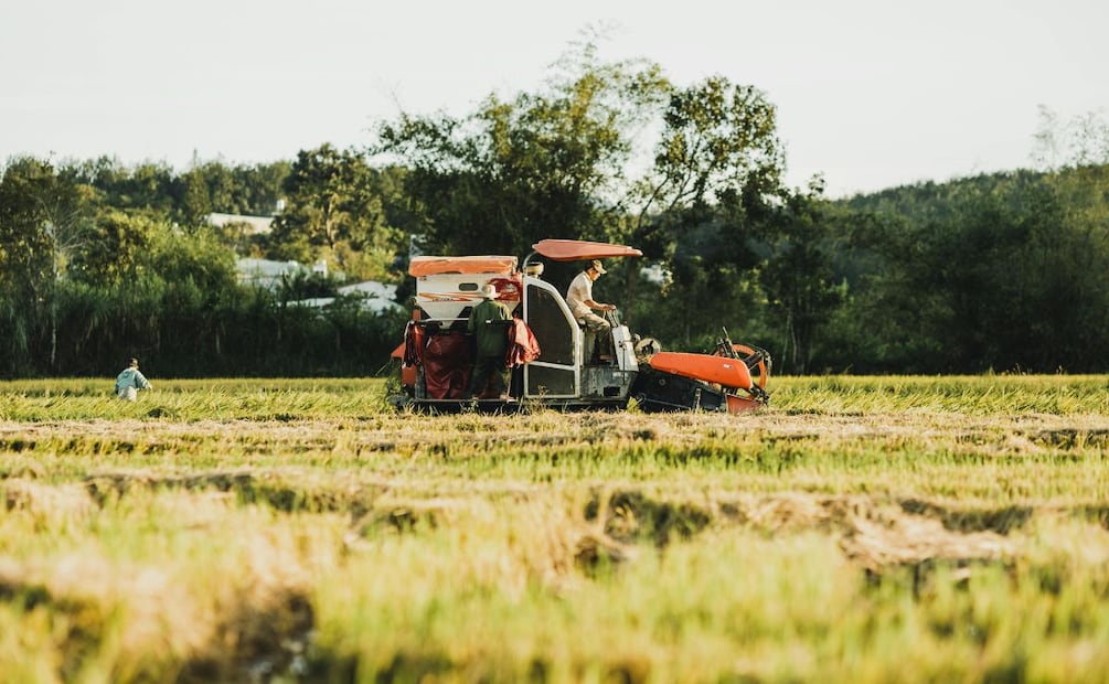 Disminuyen 20% las exportaciones de Hidalgo | Foto: Pexels