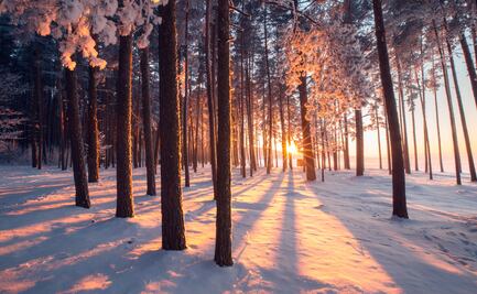 Empieza el invierno en México