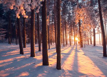 Empieza el invierno en México