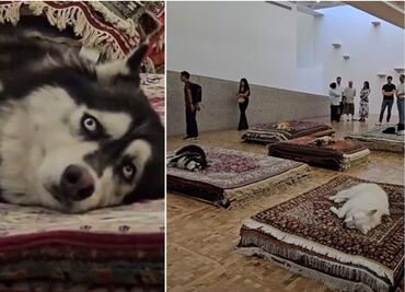 Exigen clausura de exposición "Casts" en el Museo Tamayo