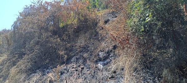 Controlan incendios en Tlanchinol; reforzarán medidas de prevención