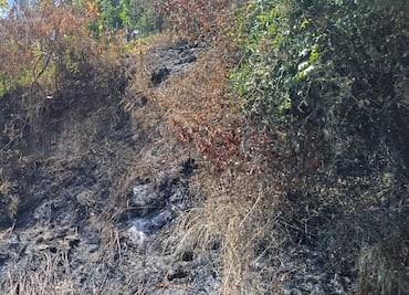 Controlan incendios en Tlanchinol; reforzarán medidas de prevención