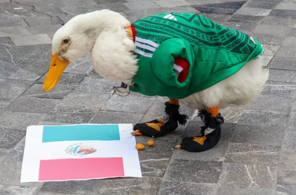 Merlín lanzó una predicción en torno al próximo enfrentamiento entre México y Corea del Sur. Foto: Karla Guerrero EL UNIVERSAL