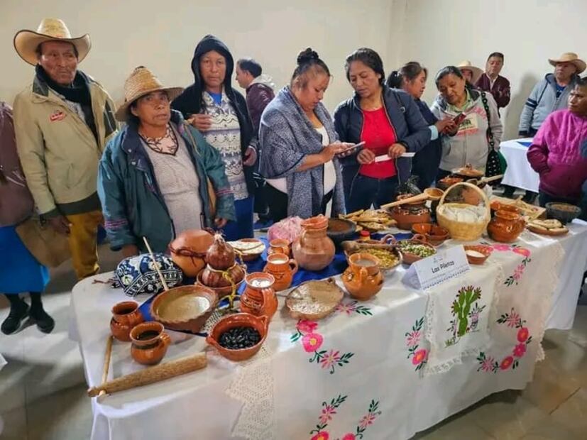 Se adhieren 14 comunidades de Zimapán al Catálogo de pueblos y comunidades indígenas | Foto: Especial