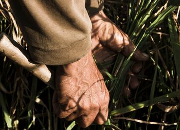 40% de los hidalguenses se dedica a actividades agropecuarias, destaca censo 2022