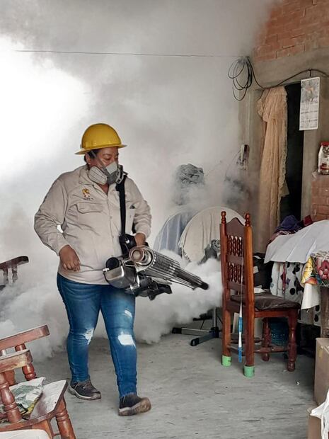 Refuerzan medidas contra el dengue en Hidalgo ante aumento de casos | Foto: SSH