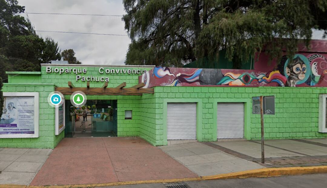 Renaciendo en libertad: las conmovedoras historias de la fauna silvestre en rehabilitación | Foto: Google Maps