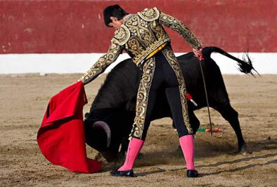 Jueza ordena no utilizar instrumentos de maltrato en corridas de toros; rechaza la tauromaquia como “derecho cultural”