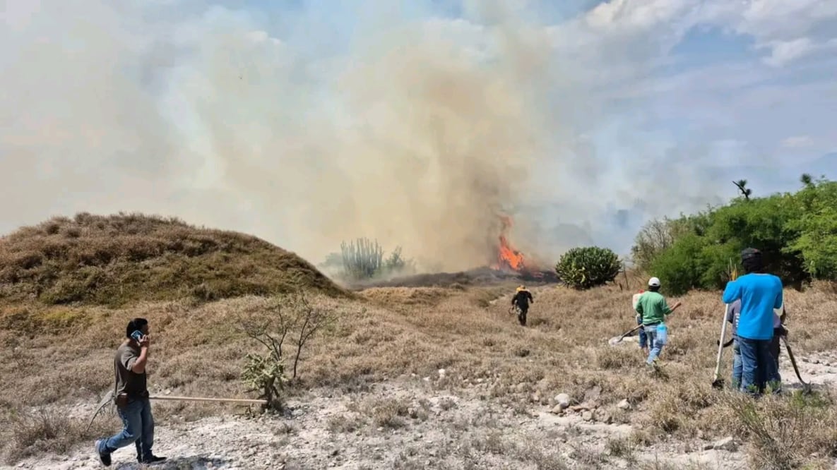 Cuatro incendios continúan activos en Tasquillo I Foto: Especial