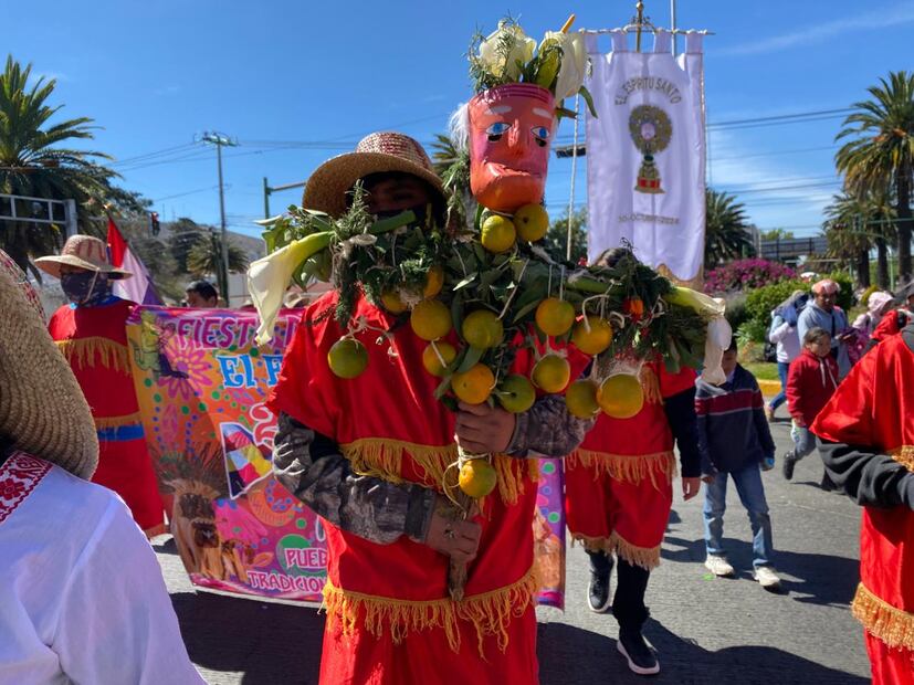 Tiempo de Carnaval en Hidalgo I Foto: Luis Soriano
