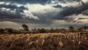 Activan alerta roja en Pachuca por fuertes vientos y bajas temperaturas