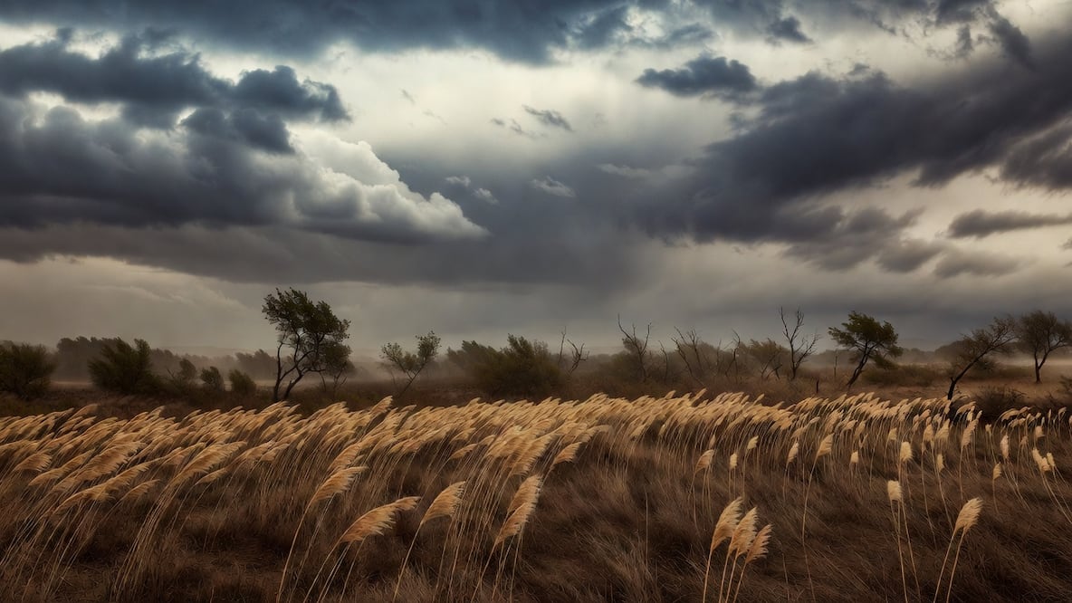 Atiende únicamente información oficial y toma precauciones | Imagen generada por Grok