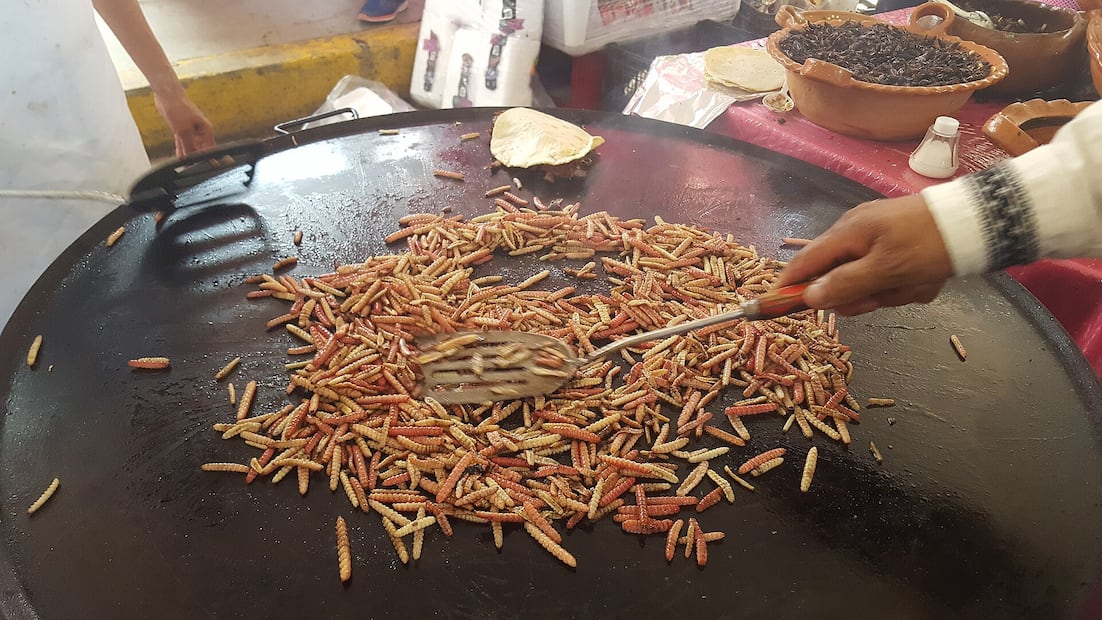 De los fogones del campo a los concursos nacionales | Foto: Wikimedia Commons