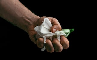 Hidalgo logra primera sentencia máxima por feminicidio