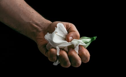 Incremento de feminicidios en Hidalgo, por violencia familiar y otros delitos: Seiinac