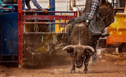 Cuernos Chuecos regresa a Pachuca con adrenalina y tradición en la Feria de San Francisco 2024