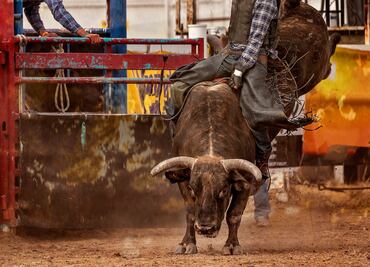 Cuernos Chuecos regresa a Pachuca con adrenalina y tradición en la Feria de San Francisco 2024