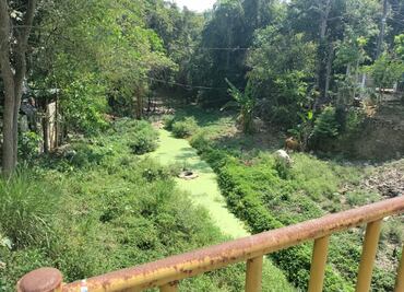 Al menos ocho municipios de la Huasteca en sequía extrema: MSM