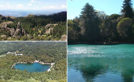 Tres bosques en Hidalgo para escapar del calor y reconectar con la naturaleza