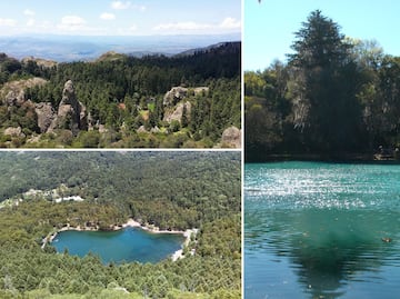 Tres bosques en Hidalgo para escapar del calor y reconectar con la naturaleza