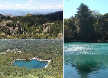 Tres bosques en Hidalgo para escapar del calor y reconectar con la naturaleza