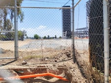 Semarnath desmiente tala masiva de árboles en avenida Fomento Minero