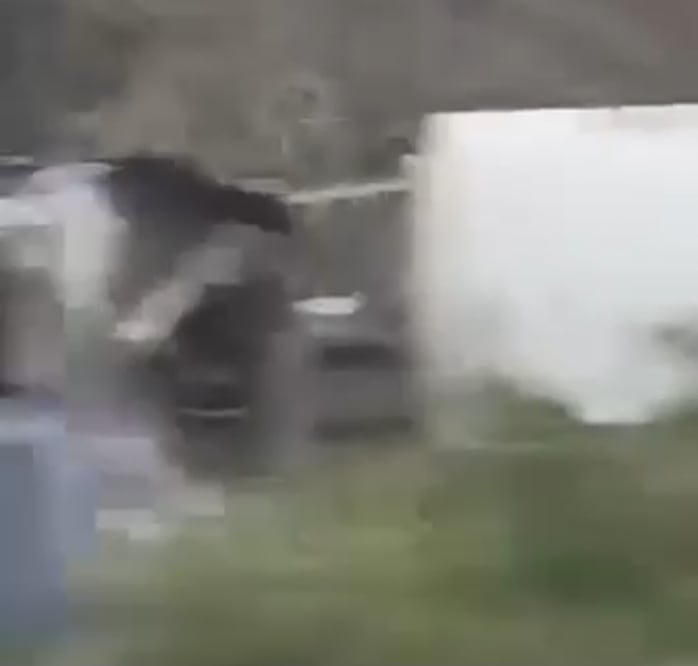 Captura de video