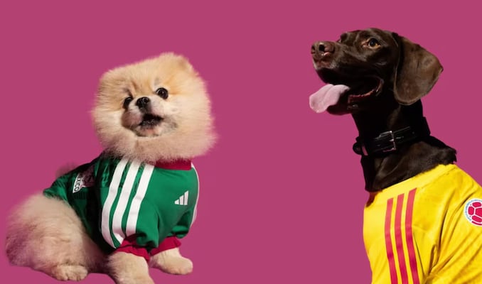 Las mascotas también podrán usar el jersey de México: Adidas lanza colección pet rumbo al Mundial 2026 