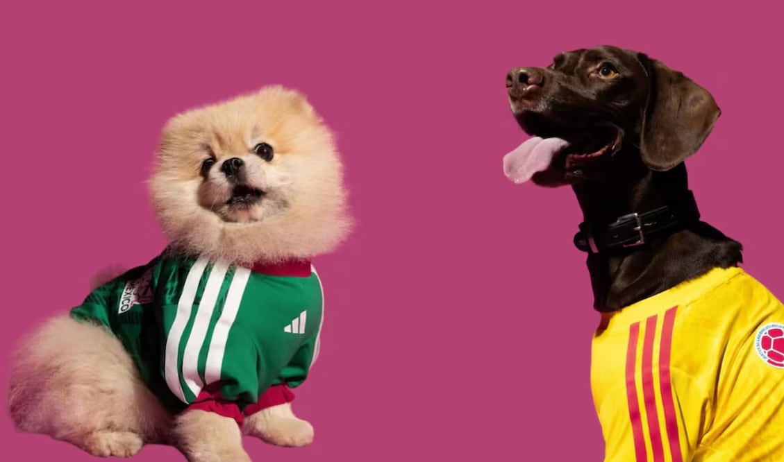 Jerseys para perritos del Mundial 2026. Foto: Adidas