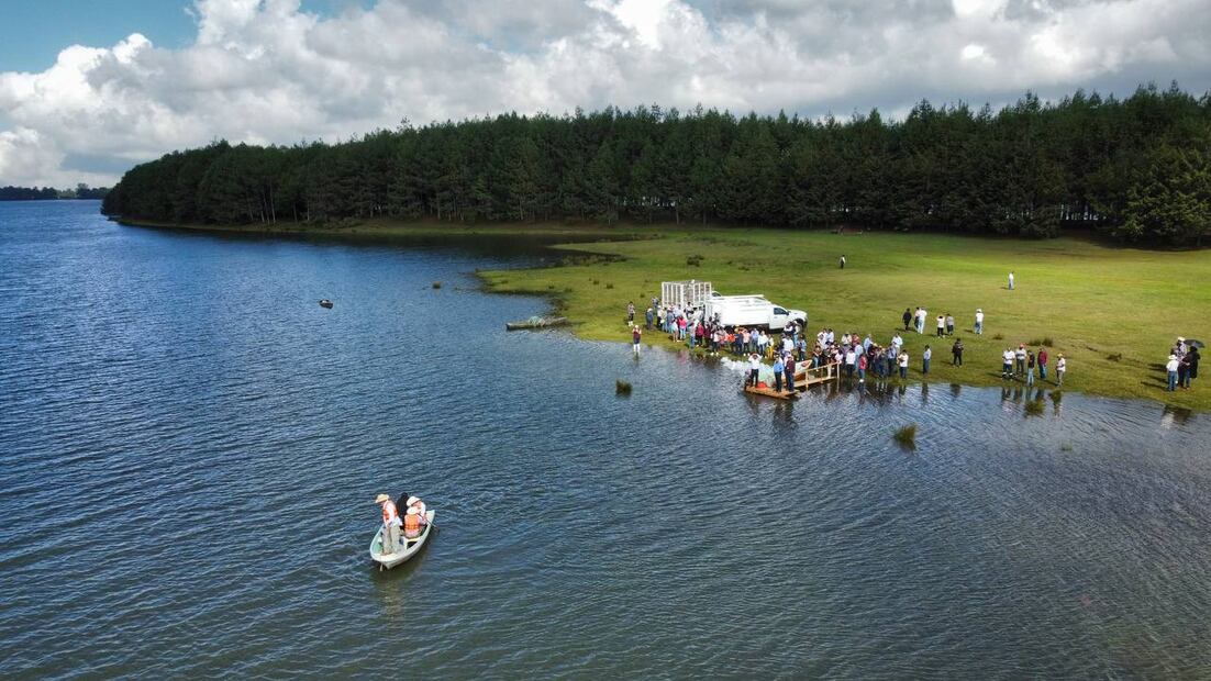 Entregan 648 mil crías de peces en apoyo a acuicultores de Acaxochitlán | Foto: Saderh