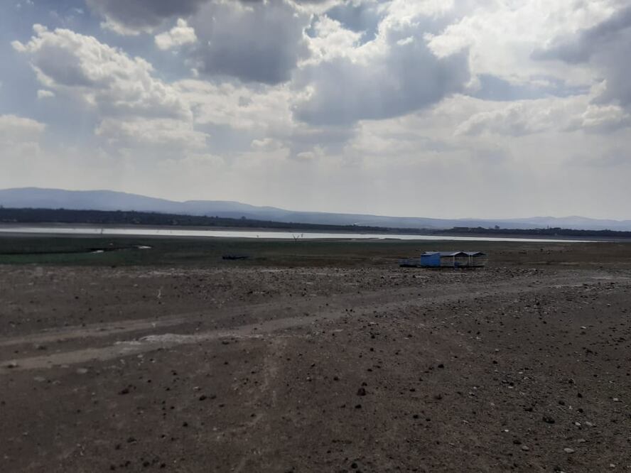 Foto: Archivo El Universal