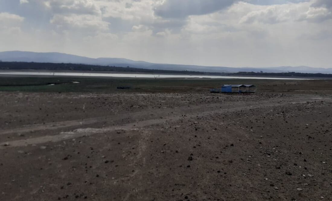 Foto: Archivo El Universal