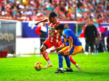 Necaxa vs Tigres: Dónde y a qué hora ver EN VIVO el juego de ida de los cuartos de final este jueves 8 de mayo 