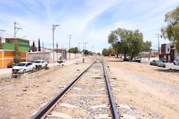 Reportan posible hallazgo de restos fósiles en obras del Tren AIFA-Pachuca