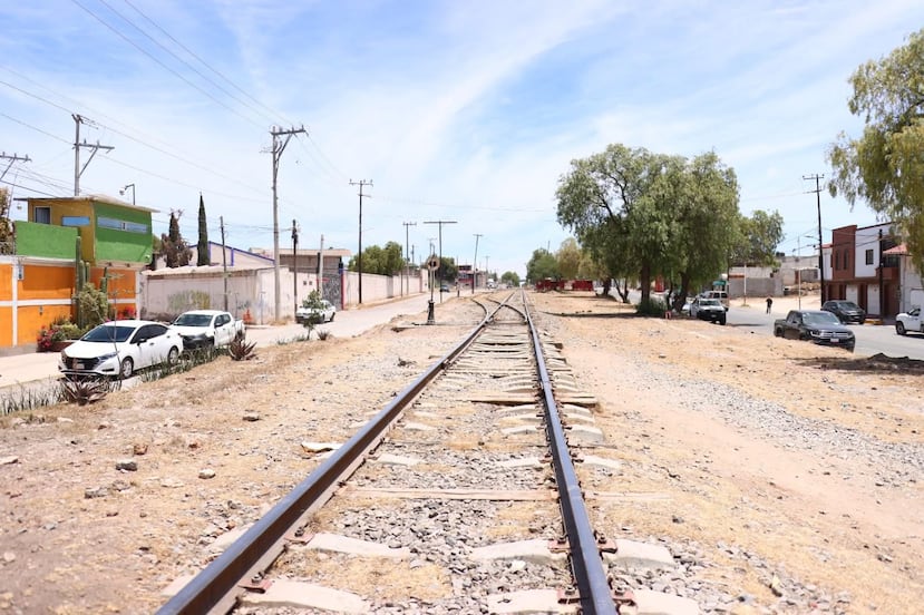 Reportan posible hallazgo de restos fósiles en obras del Tren AIFA-Pachuca