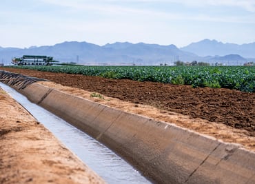 Conagua inicia pavimentación de canales de riego en el Valle del Mezquital