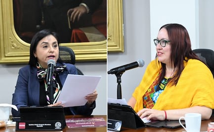 Diputadas de Morena piden austeridad a vocal del INE; PRI acusa intento de desacreditar al órgano electoral