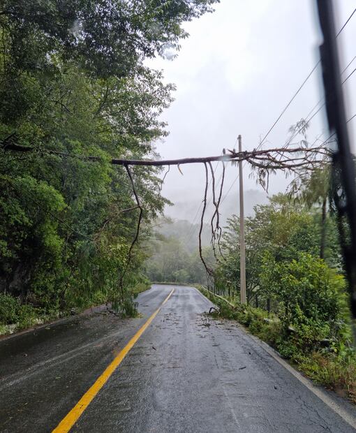 Alertan por posibles deslizamientos de tierra en sierra y huasteca | Foto: Especial