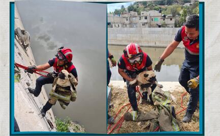 Rescatan a perrito atrapado en canal de la ribera del río Tula