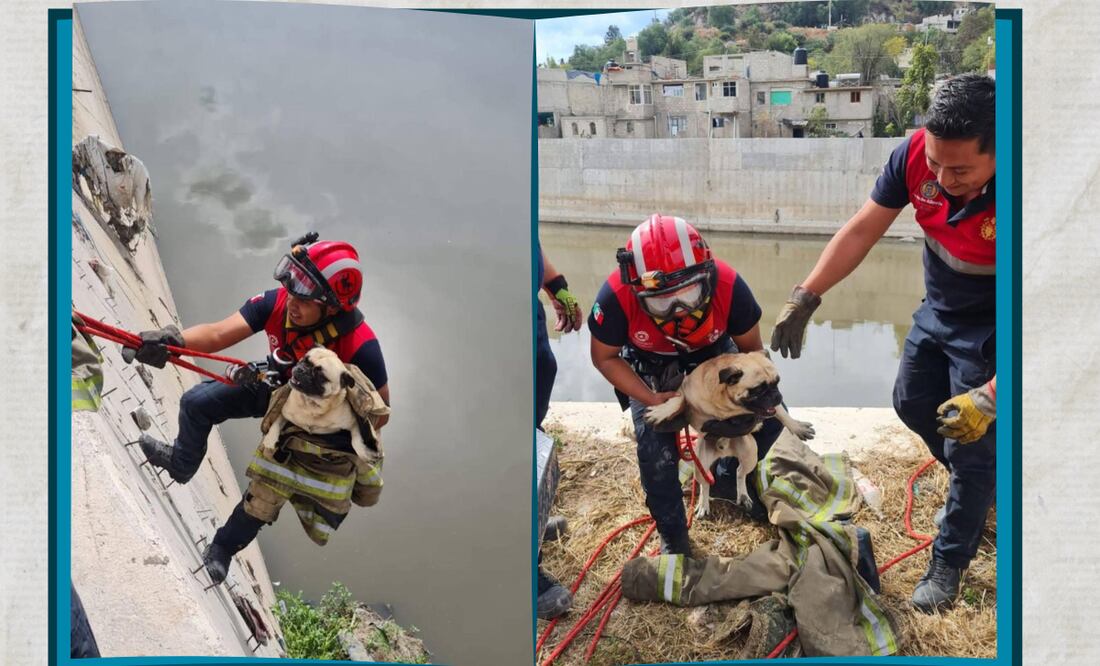 ¡Héroes al rescate! Fotos: Especiales