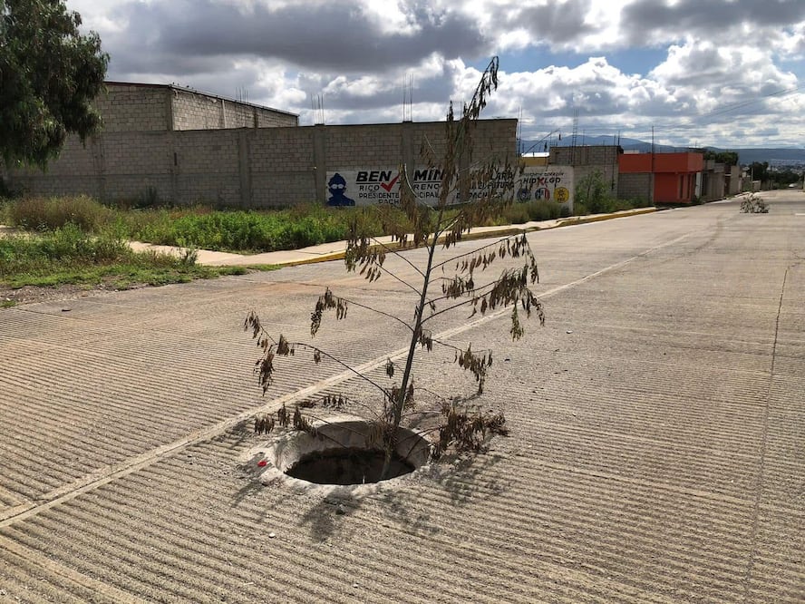 Vecinos señalan que el robo de tapas y la falta de atención oportuna a los reportes mantienen latente el riesgo, especialmente durante las lluvias, cuando los encharcamientos ocultan las coladeras abiertas | Foto: Ricardo Calleja