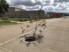 Coladeras abiertas y dañadas representan un riesgo durante la temporada de lluvias en Pachuca