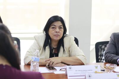 Diputada de Hidalgo libra proceso judicial por robo